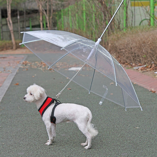 Creative Leash Puppy Raincoat With Dog Leash